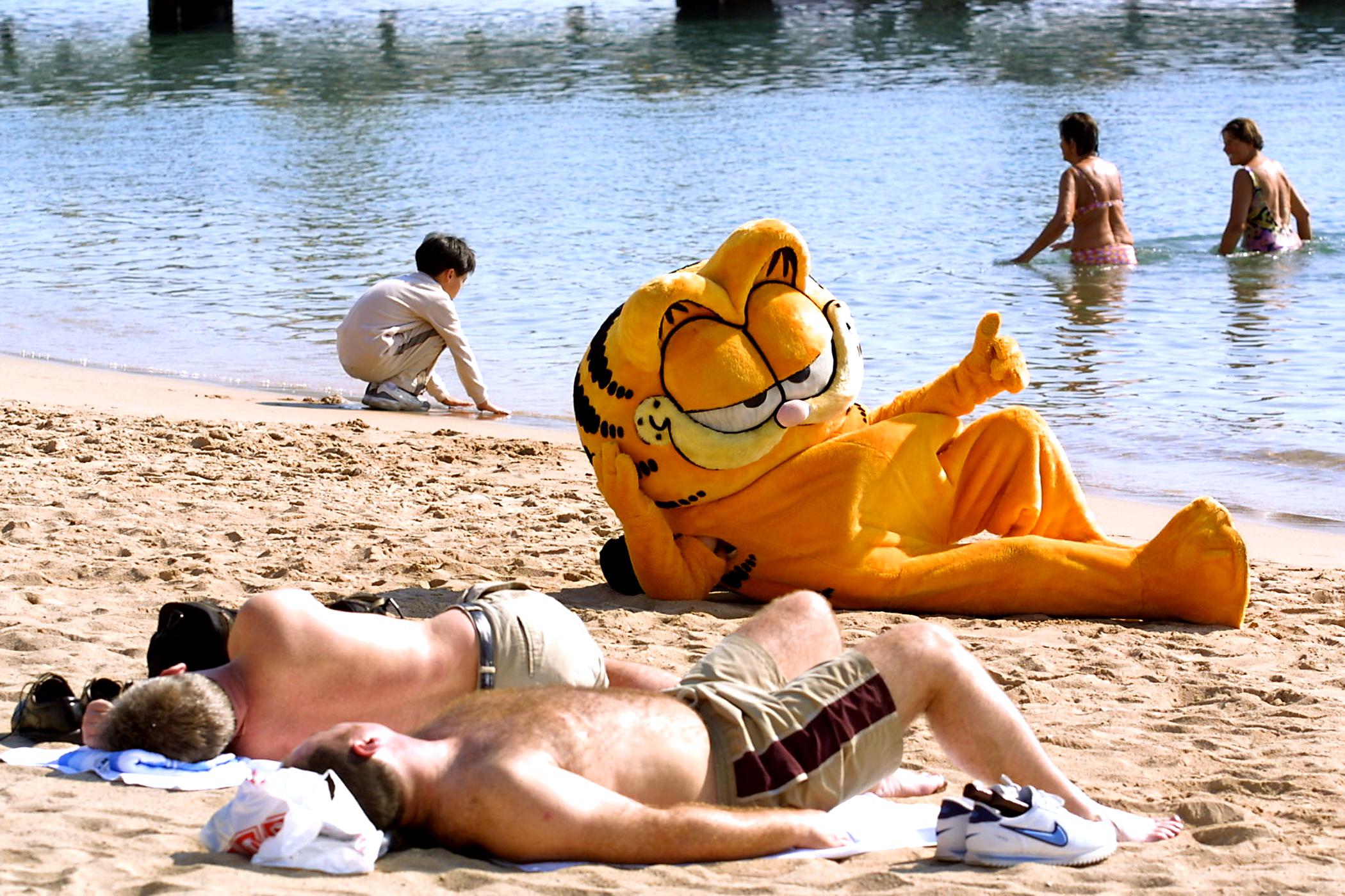 Des téléphones Garfield échouent sur les plages du Finistère