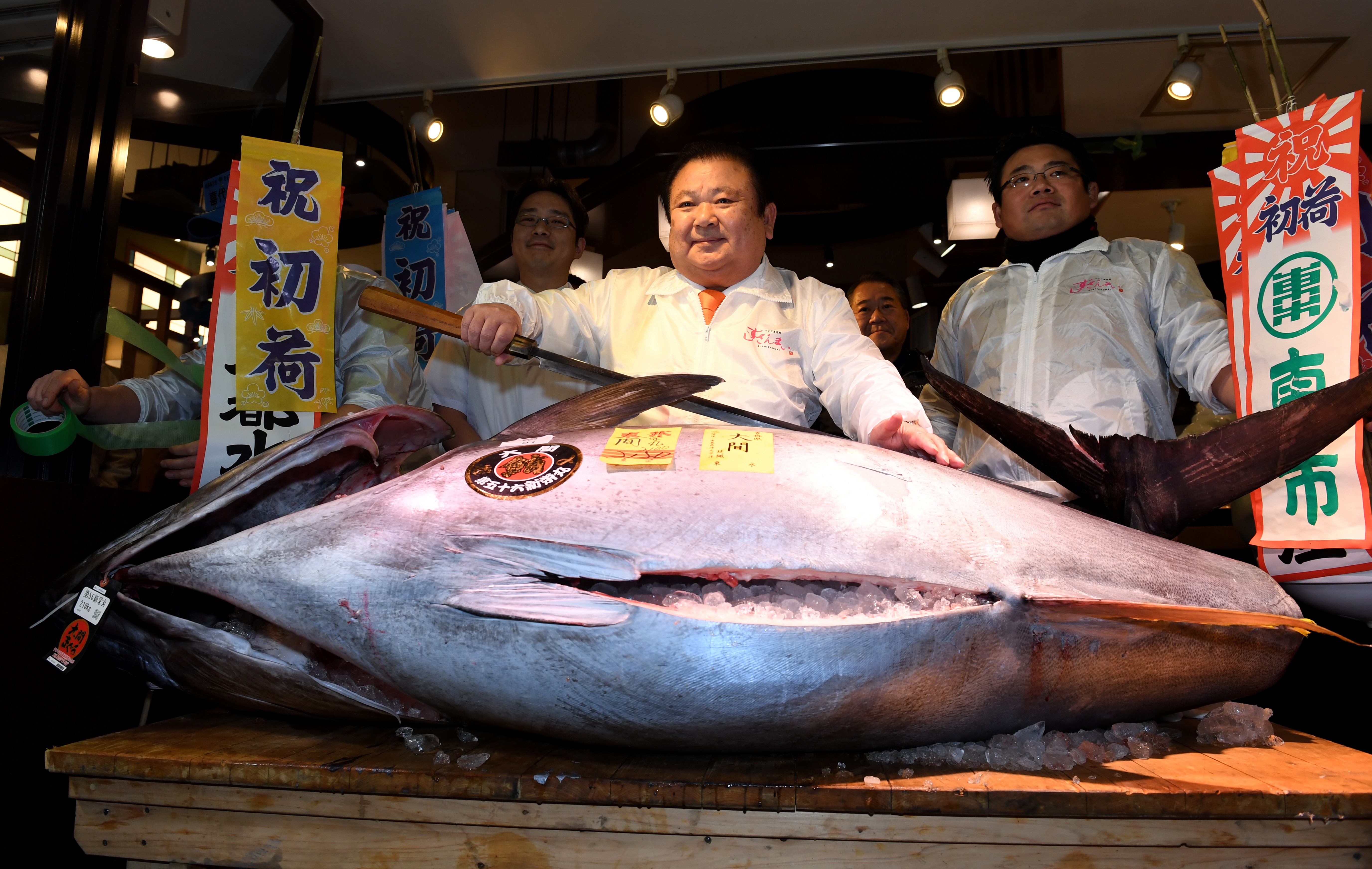 Un énorme thon rouge de 250 kilos s