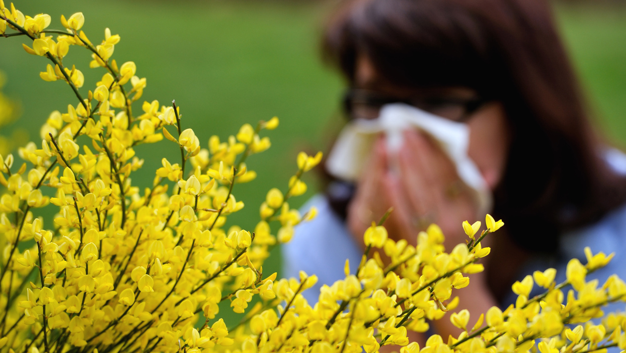 Allergies