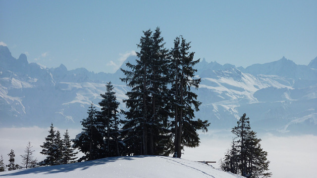 Haute-Savoie: une skieuse de fond meurt écrasée par une dameuse
