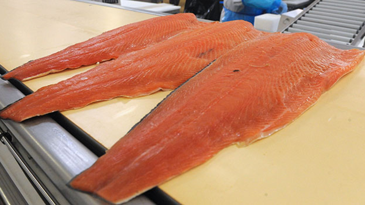 Des lots de saumon fumé vendus par les enseignes Carrefour et Auchan sont susceptibles de présenter des traces de Listeria monocytogenes