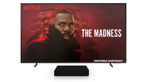 NETFLIX : The Madness (Disponible maintenant)