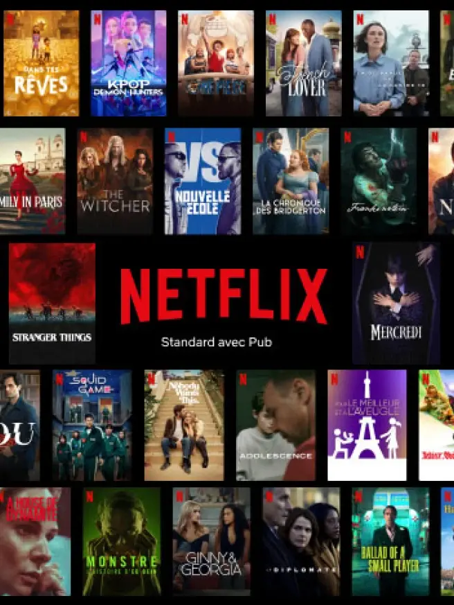 Netflix Standard avec Pub, uen grande variété de films et de séries.