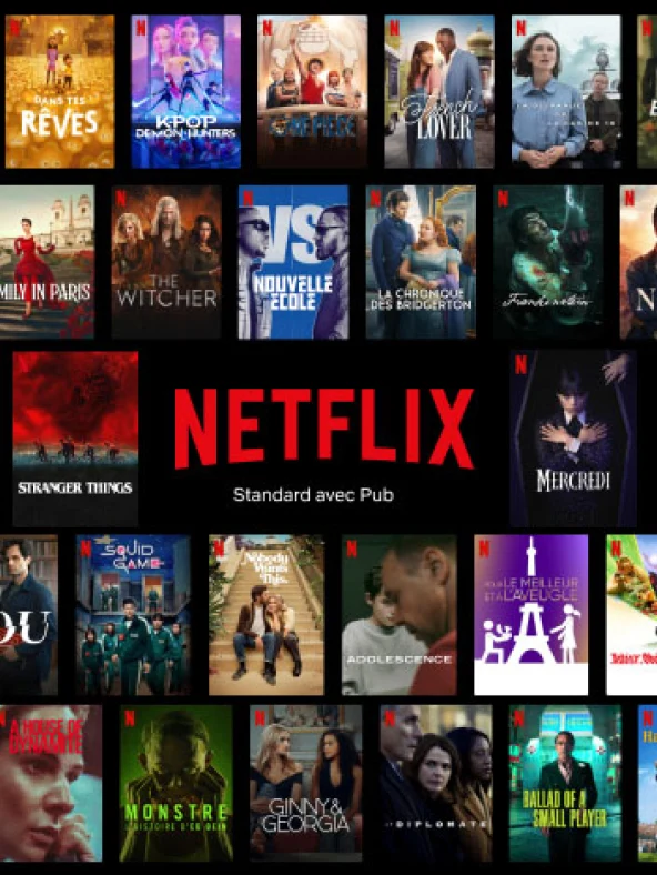 Retrouvez un grand nombre de series et de films sur Netflix standard avec pub, comme les séries The Witcher, Nouvelle École, The Crown, Emily in Paris, Squid Game...