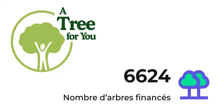 6624 arbres financés avec A TREE FOR YOU