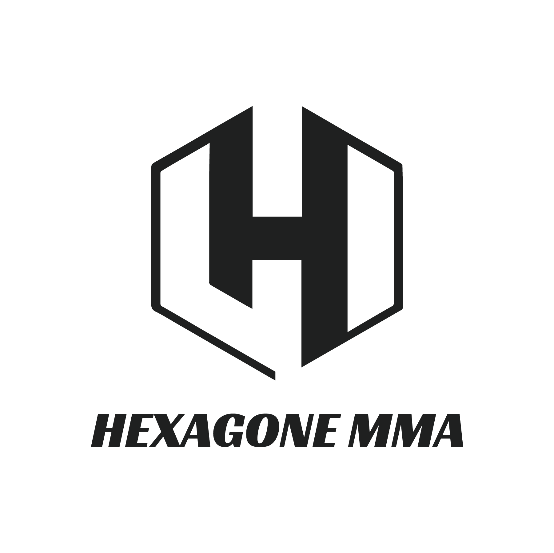 Background HEXAGONE MMA