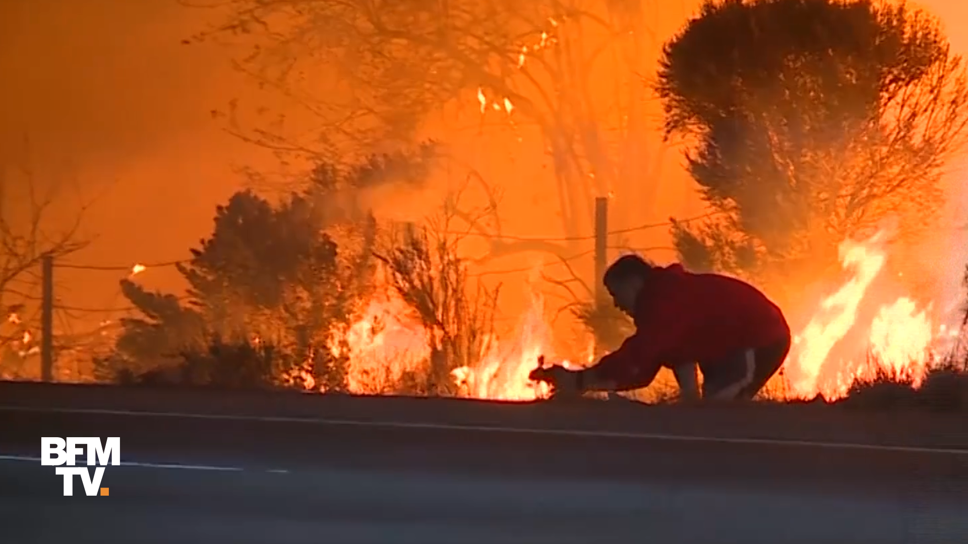 EN VIDEO - En Californie, cet homme sauve un lapin des flammes