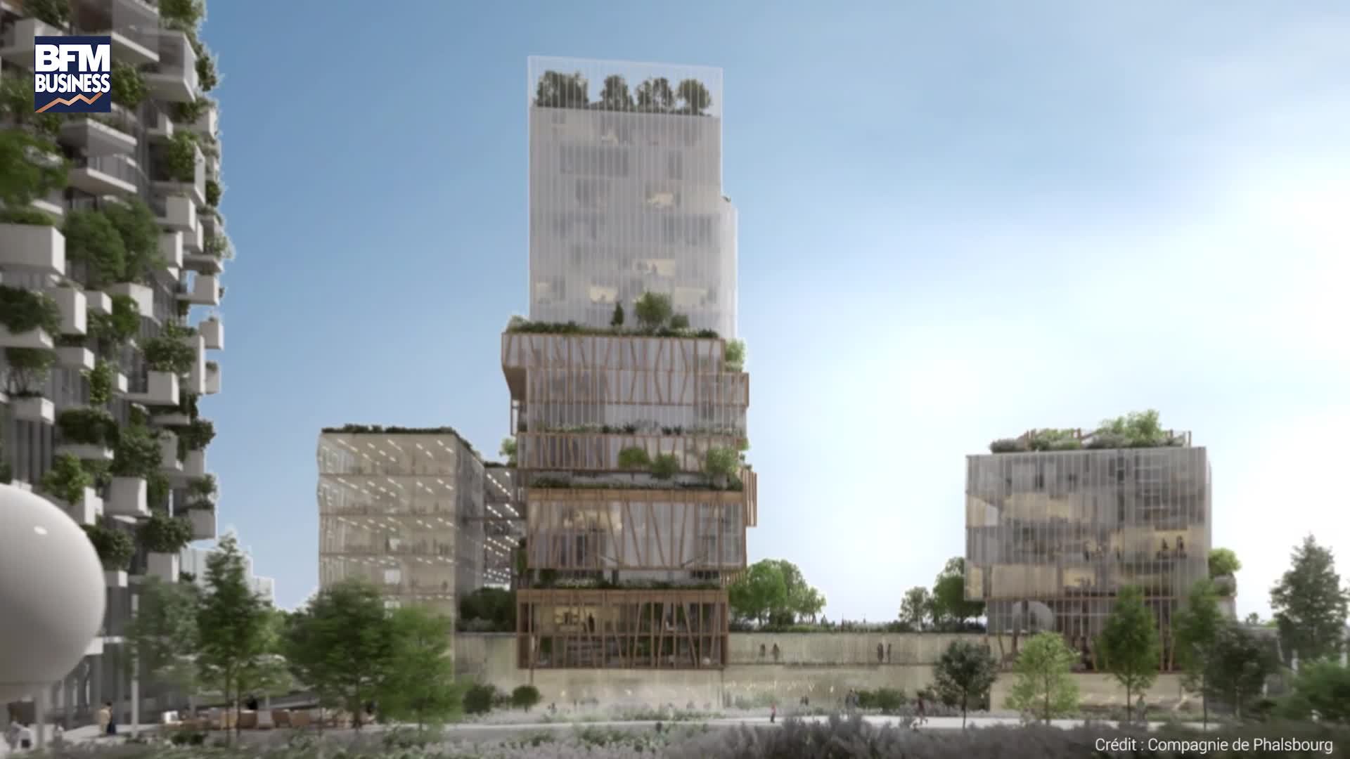 EN VIDEO - Une forêt verticale en banlieue parisienne