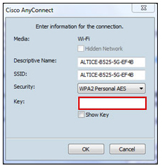 Fenêtre Cisco AnyConnect
