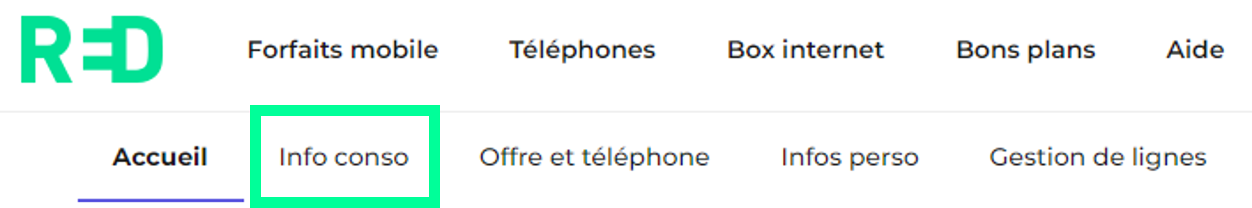 visuel présentant l'emplacement de la rubrique Info conso