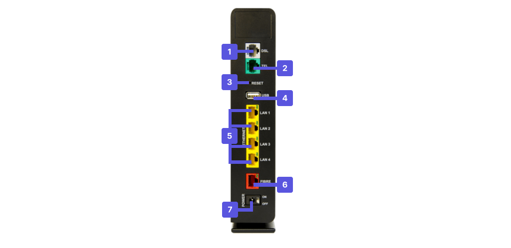 Visuel présentant la connectique sur la face arrière de la box Plus