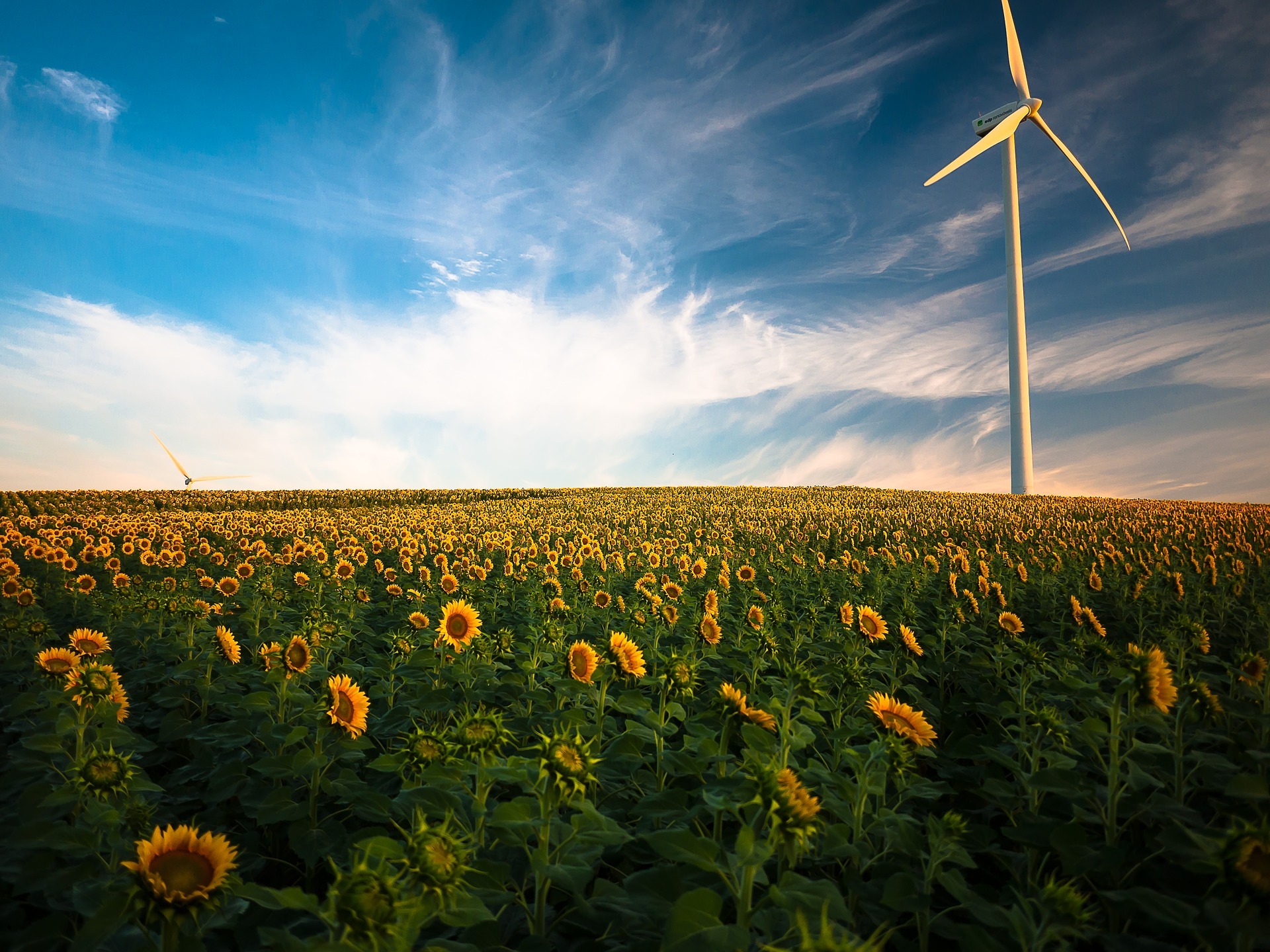 Energie verte, éolienne