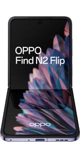 Find N2 Flip