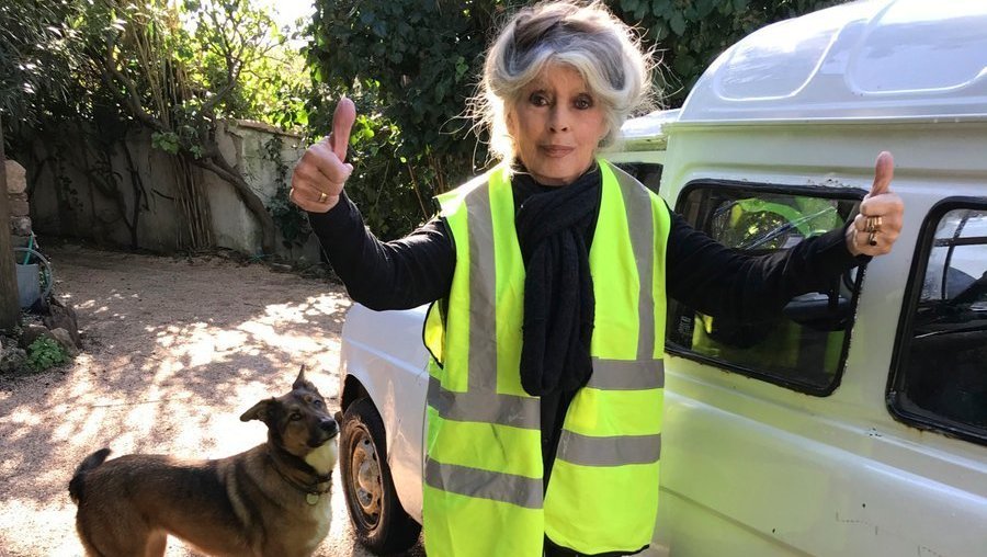 Brigitte Bardot en gilet jaune