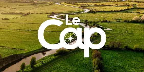 Le Cap de SFR