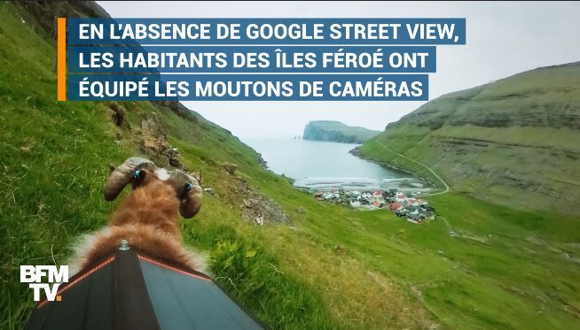 EN VIDEO - Avec un peu d'humour et quelques moutons, les Îles Féroé défient Google