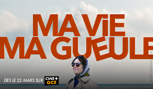visuel Les 3 Mousquetaires 