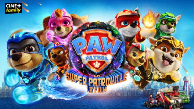 paw patrol 