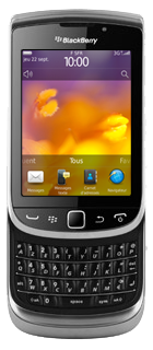 Blackberry torche 9810