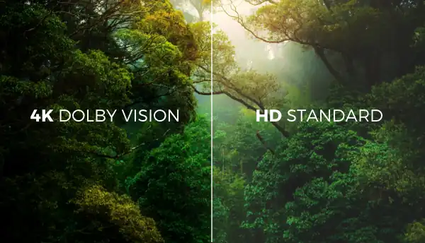 4K Dolby Vision