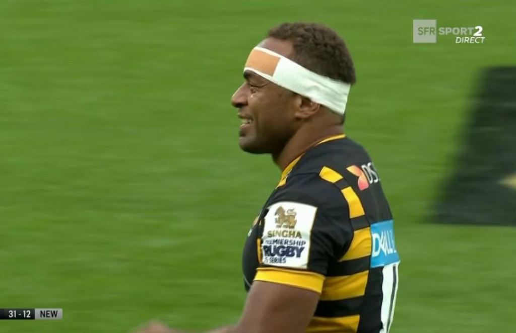 Wasps