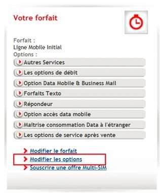 Voir les options actives sur une ligne dans l’Espace Client SFR Business